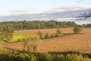 USA, Tennessee. Pastoral farm scene in morning light. Long shadows from hay bales USA, Tennessee. Pastoral farm scene in morning light. Long shadows from hay bales