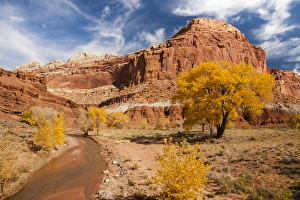 USA, Utah, Capitol Reef. Creek and autumn landscape USA, Utah, Capitol Reef. Creek and autumn landscape