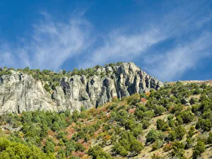 USA, Utah. Fall color with aspens along Logan Canyon USA, Utah. Fall color with aspens along Logan Canyon