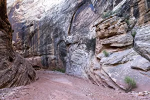 Riverbed Gallery: USA, Utah, Grand Wash, Capitol Reef National Park