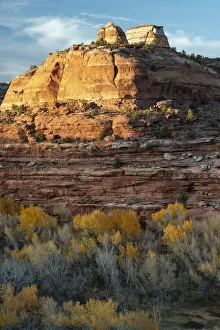 USA, Utah. Last light on sandstone monolith with autumn cottonwoods USA, Utah. Last light on sandstone monolith with autumn cottonwoods