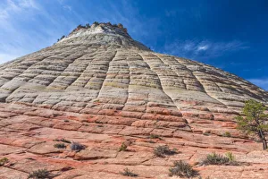 Zion National Park Gallery: USA, Utah, Morning sunlight lights up the sandstone cliffs of Zion National Park