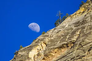 Zion National Park Gallery: USA, Utah, Partial moon appears near the sandstone cliffs of Zion National Park
