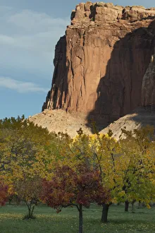 USA, Utah. Sandstone cliff face and orchard, Capital Reef National Park USA, Utah. Sandstone cliff face and orchard, Capital Reef National Park