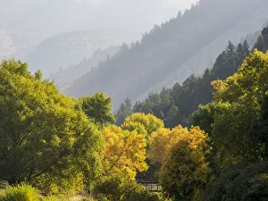 USA, Utah. Trail bridge across the Logan River along Logan Canyon in autumn USA, Utah. Trail bridge across the Logan River along Logan Canyon in autumn