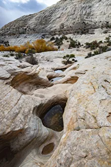 USA, Utah. Waterpockets and autumnal cottonwood trees, Grand Staircase-Escalante National USA, Utah. Waterpockets and autumnal cottonwood trees, Grand Staircase-Escalante National
