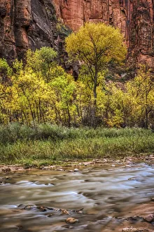 Zion National Park Gallery: USA, Utah, Zion National Park