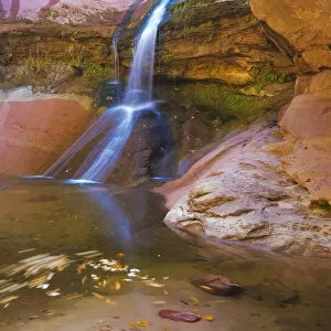 Images Dated 17th November 2013: USA, Utah, Zion National Park. Small waterfall forms pool