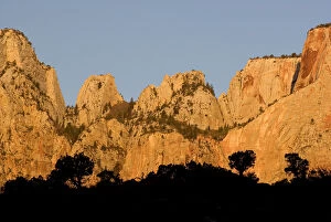 Images Dated 30th October 2006: USA, Utah, Zion National Park. Towers of the Virgin River at sunrise