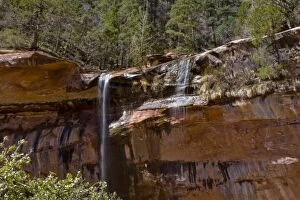 USA, Utah, Zion National Park, Water Falls at the Lower Emerald Pools
