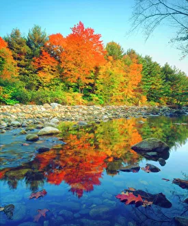 USA, Vermont, Autumn Colors reflecting in a stream in Vermont USA, Vermont, Autumn Colors reflecting in a stream in Vermont