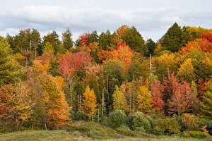USA, Vermont, Morrisville, Stagecoach Road, fall foliage USA, Vermont, Morrisville, Stagecoach Road, fall foliage