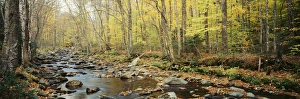 USA, Vermont, Northeast Kingdom, Stream in autumn USA, Vermont, Northeast Kingdom, Stream in autumn