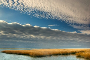 USA, Virginia. Cloudy scenic on Chincoteague Island USA, Virginia. Cloudy scenic on Chincoteague Island