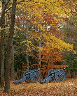 USA, Virginia, Colonial National Historic Park, French Artillery at Yorktown USA, Virginia, Colonial National Historic Park, French Artillery at Yorktown