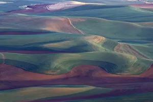 Images Dated 21st October 2004: USA, WA, Steptoe Butte State Park