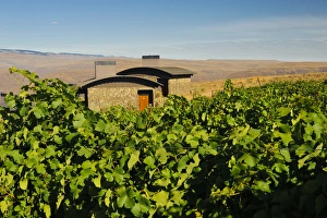 USA, Washington, Columbia Valley. Cave B Estate Winery is an award-winning boutique USA, Washington, Columbia Valley. Cave B Estate Winery is an award-winning boutique