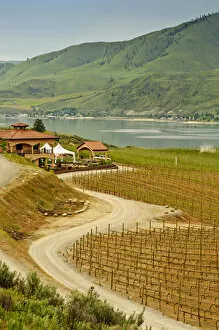Images Dated 21st May 2011: USA, Washington, Lake Chelan. Benson Vineyards Estate Winery is the only 100% estate