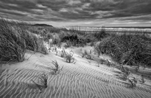 USA, Washington, Long Beach, Dusk on the beach dunes USA, Washington, Long Beach, Dusk on the beach dunes