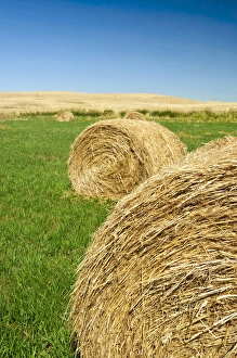 USA, Washington, The Palouse. Hay bales on a Palouse field USA, Washington, The Palouse. Hay bales on a Palouse field