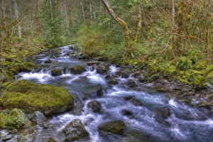 USA, Washington, Rocky Brook Falls. Scenic of stream cascading over rocks. Credit as USA, Washington, Rocky Brook Falls. Scenic of stream cascading over rocks. Credit as