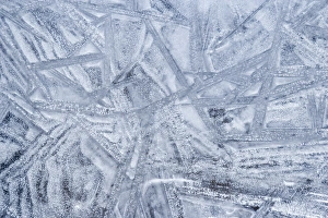 USA, Washington, Seabeck. Patterns on ice. Credit as: Don Paulson / Jaynes Gallery USA, Washington, Seabeck. Patterns on ice. Credit as: Don Paulson / Jaynes Gallery