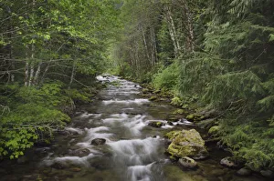 USA, Washington State. Beckler River, Mount Baker Snoqualmie National Forest USA, Washington State. Beckler River, Mount Baker Snoqualmie National Forest