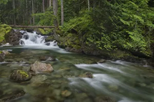 USA, Washington State. Deception Creek, Alpine Lakes Wilderness USA, Washington State. Deception Creek, Alpine Lakes Wilderness