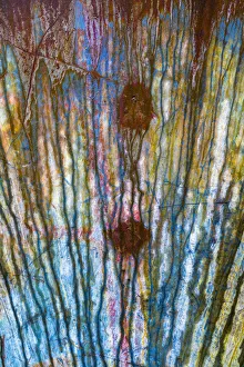 USA, Washington State, Elbe. Metal streaked by rain USA, Washington State, Elbe. Metal streaked by rain