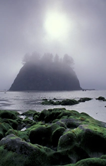 USA, Washington State, LaPush, Second Beach. Seastack in fog USA, Washington State, LaPush, Second Beach. Seastack in fog