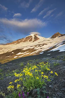 USA, Washington State. Mount Baker (elevation 10,778 feet, 3 USA, Washington State. Mount Baker (elevation 10,778 feet, 3