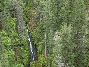 USA, Washington State, Olympic Mountains. View of South Fork Skokomish River
