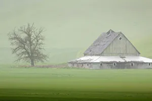 USA, Washington State, Palouse. Barn and tree in fog USA, Washington State, Palouse. Barn and tree in fog