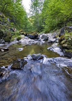 USA, Washington State, Swift Reservoir. Water rushes downstream into Swift Reservoir USA, Washington State, Swift Reservoir. Water rushes downstream into Swift Reservoir