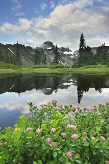 USA, Washington State. Table Mountain reflected in small lake in Heather Meadows