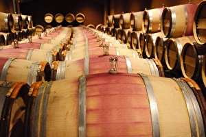 Vine Yard Gallery: USA, Washington. Washingtons wine country