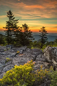 USA, West Virginia, Blackwater Falls State Park. Tree and landscape at sunset. Credit as USA, West Virginia, Blackwater Falls State Park. Tree and landscape at sunset. Credit as