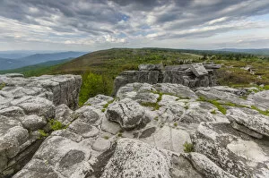 Images Dated 31st May 2013: USA, West Virginia, Davis. Landscape in Dolly Sods Wilderness Area
