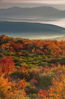 USA, West Virginia, Dolly Sods Wilderness. Sunrise on autumn landscape. Credit as USA, West Virginia, Dolly Sods Wilderness. Sunrise on autumn landscape. Credit as