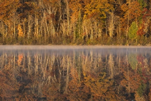 USA, Wisconsin. A cold morning on a Mill pond Lake in Autumn USA, Wisconsin. A cold morning on a Mill pond Lake in Autumn