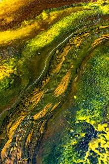 USA, Wyoming. Colorful bacteria mat run-off at Pump Springs, Yellowstone National Park USA, Wyoming. Colorful bacteria mat run-off at Pump Springs, Yellowstone National Park
