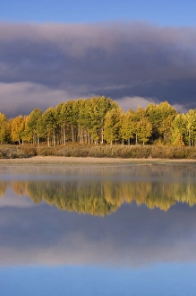 USA Wyoming Grand Teton NP trees and clouds with refections at Oxbow Bend USA Wyoming Grand Teton NP trees and clouds with refections at Oxbow Bend