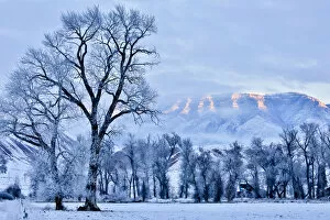 Snow Capped Gallery: USA, Wyoming, Shell, Hoar Frost in the Valley, PR