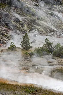 USA, Wyoming. Along the trail, Artists Paintpots, Yellowstone National Park USA, Wyoming. Along the trail, Artists Paintpots, Yellowstone National Park