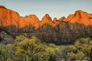 Zion National Park Gallery: USA, Zion National Park, Temples & Towers, sunrise