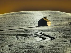 Palouse Region Old Barn Print
