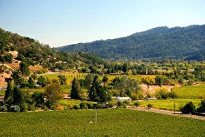 Valley with vineyards in Calistoga, California Valley with vineyards in Calistoga, California