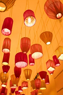 Vietnam, Hanoi, Tet Lunar New Tear decorations Vietnam, Hanoi, Tet Lunar New Tear decorations