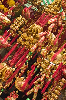 Vietnam, Hanoi, Tet Lunar New Year, holiday decorations for sale Vietnam, Hanoi, Tet Lunar New Year, holiday decorations for sale