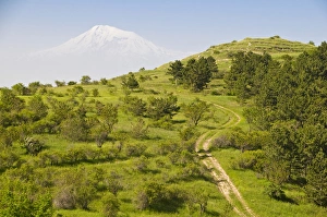 View over the Araratian Plain towards Mount Ararat, Armenia View over the Araratian Plain towards Mount Ararat, Armenia